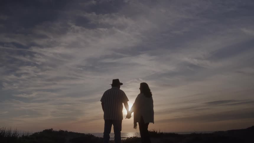 Silhouette if a couple holding hands on a hillside overlooking the ocean at sunset