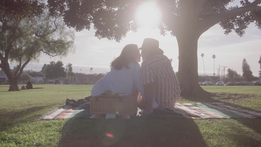 Older couple kissing while enjoying a picnic under a tree at a park