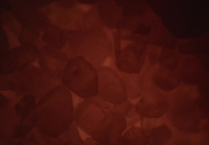 Mineral fragments in reddish tones under diffuse lighting