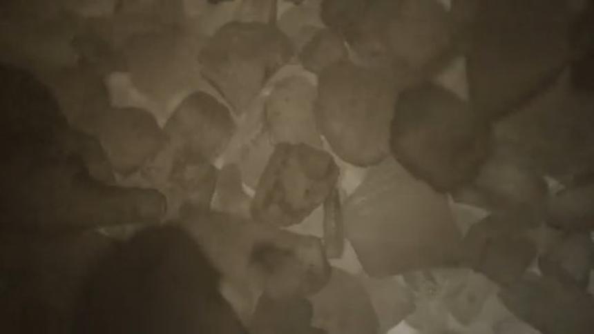 Many rocks on the ground