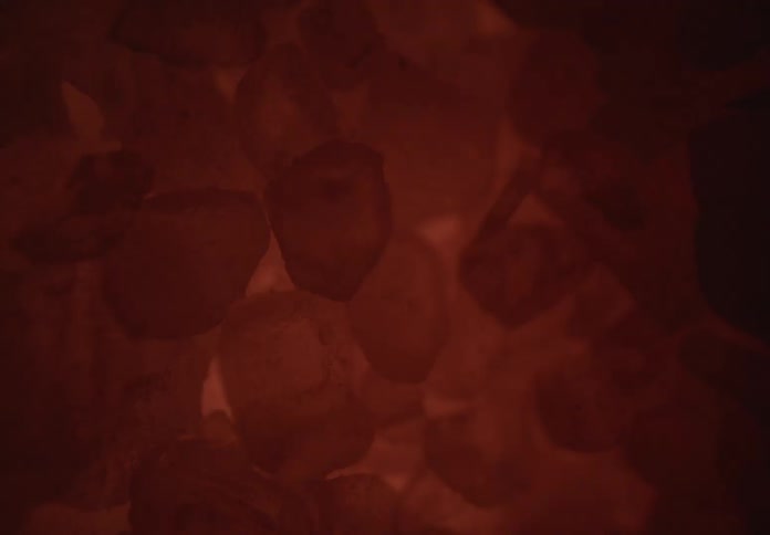 Quartz crystals illuminated by an intense reddish hue
