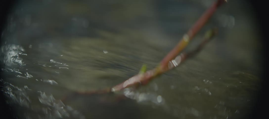 A stick is in a body of water and moves up and down