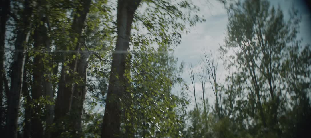 The shot looks up into the canopy of several trees as the camera pans upwards the sun peeks through the leaves creating a bright lens flare