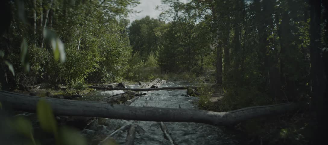 A flowing river winds through a dense forest there are several fallen trees and rocks partially submerged in the water