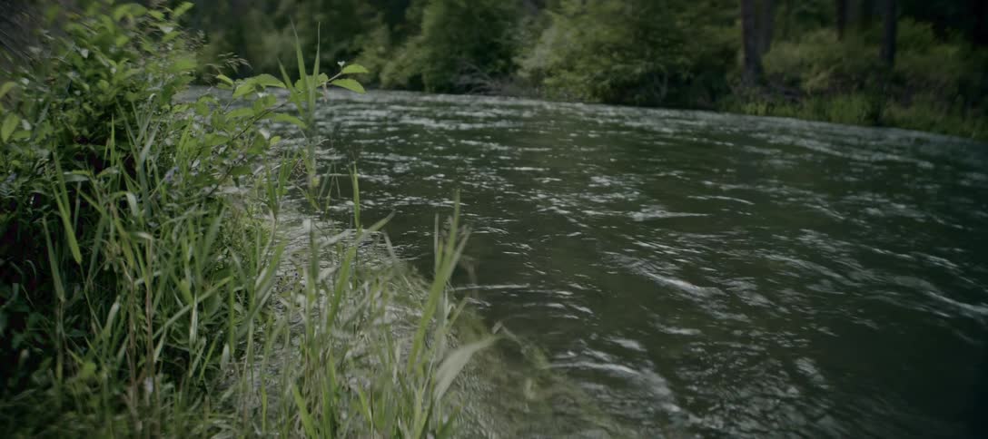 A river winds through lush green vegetation under the warm daylight