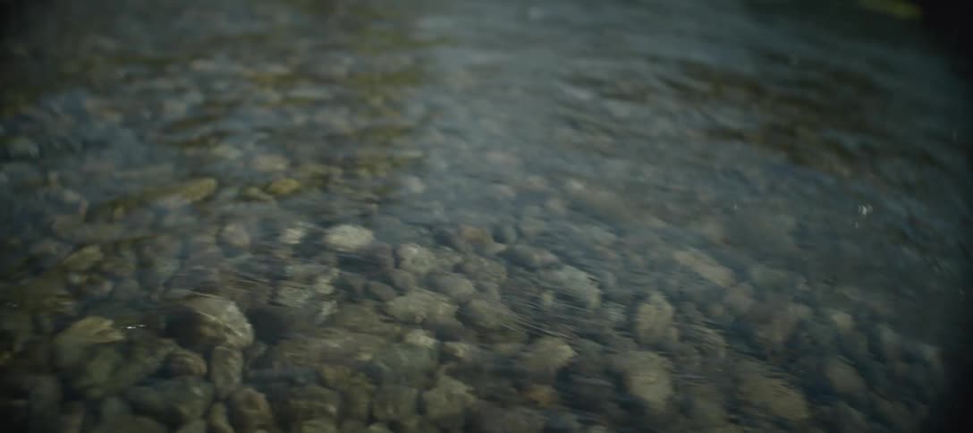 The man is standing in the shallow creek water