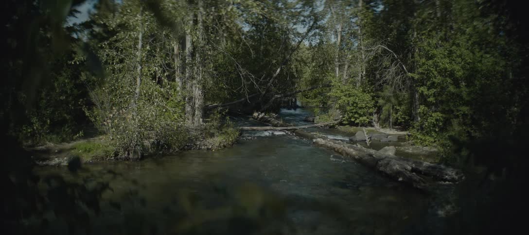 Water flows over rocks and logs that are in a river surrounded by trees