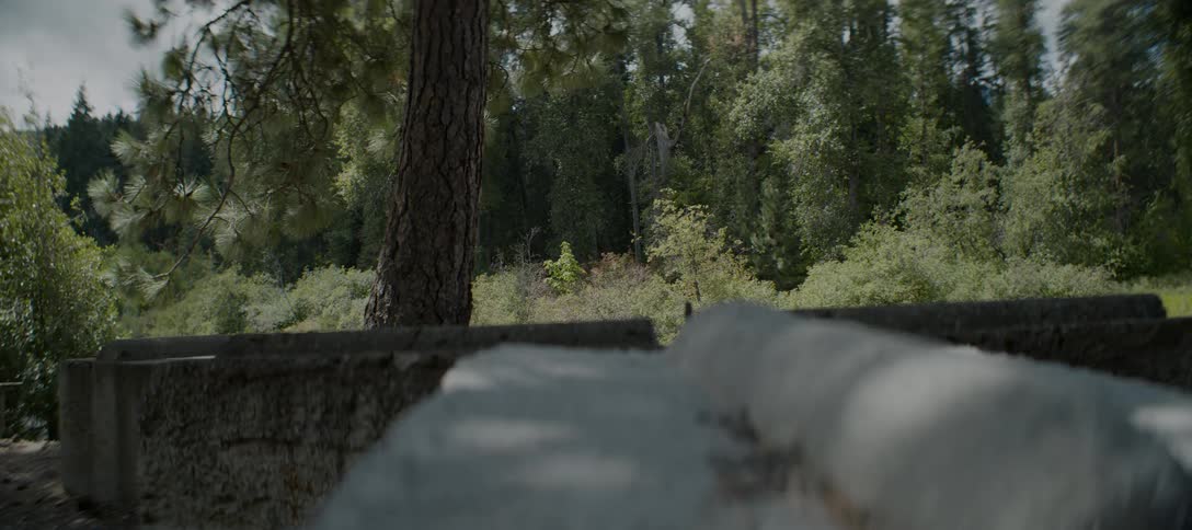 A stone ledge sits in front of a forest with shifting light
