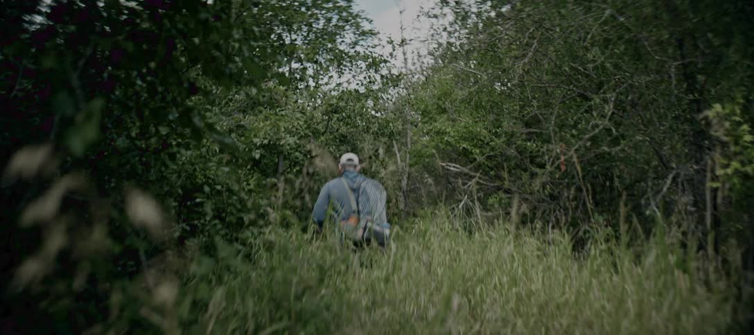 From behind a person wearing a backpack and hat walks through tall grass into a dense green forest