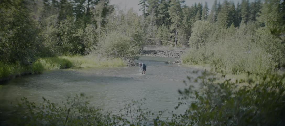 Lone figure contemplates the serenity of the river surrounded by dense forest and untouched nature