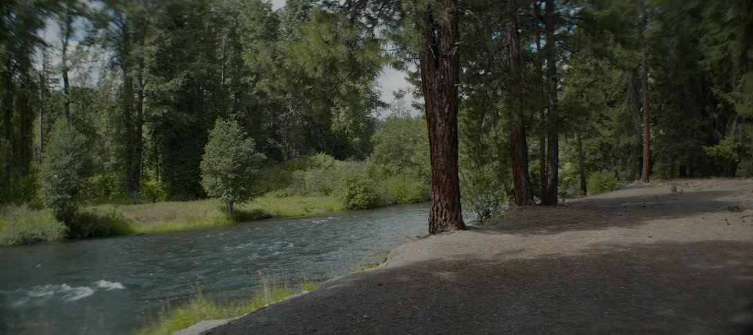 The water in a river flows from the background to the foreground with trees on the both sides