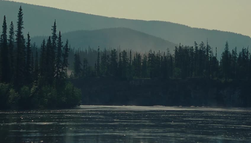 Soft light filters through the trees along the river before the mountains