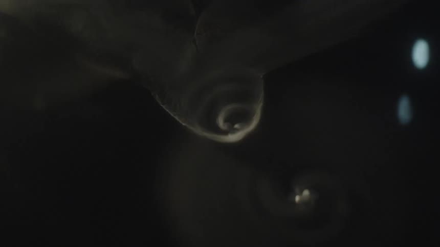 Two abstract lightcolored lines bend inward and connect then spin and spread out the background is dark the phrase filmsupply is visible in white in the middle of the frame