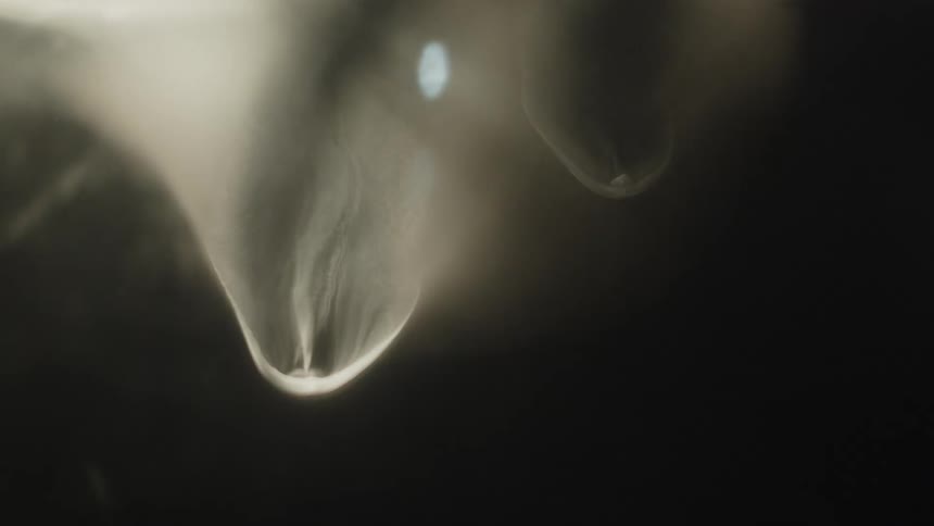 Transparent water droplet about to fall against a dark and blurred background