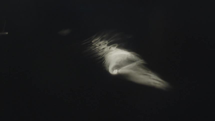 Beam of light reflected on a dark surface creating fluid shapes