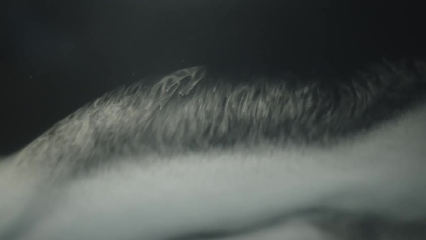 Ethereal texture with fluid shapes resembling gentle waves in motion