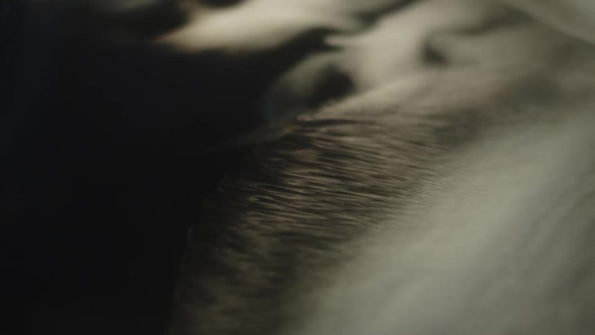 Fluid and wavy formations resembling natural patterns in motion