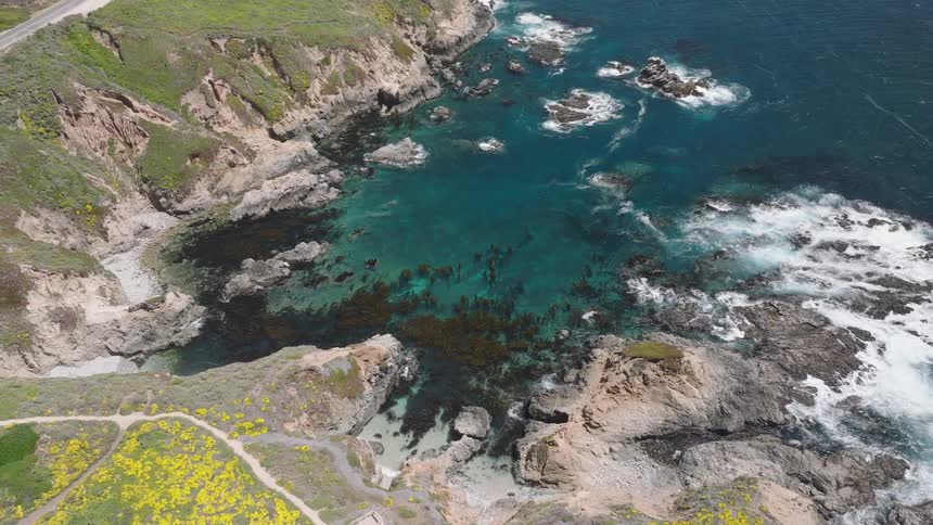 An aerial view shows steep green cliffs covered in bright yellow wildflowers leading down to a rocky cove with clear turquoise water and white ocean foam