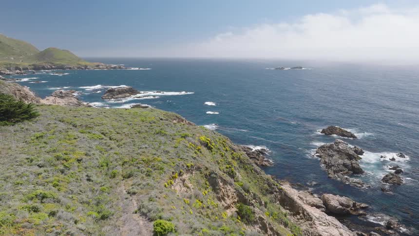 Green vegetation with yellow flowers covers steep hillside facing rocky coastline washed by ocean waves