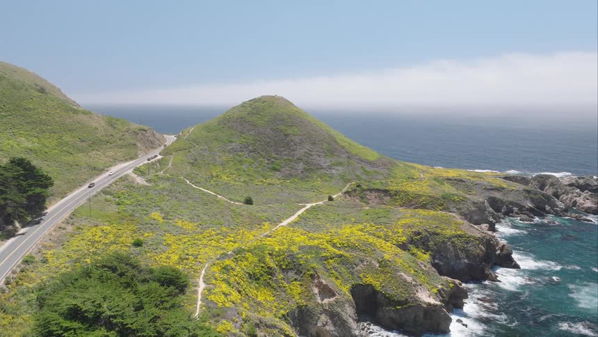 An aerial shot captures a scenic coastal highway winding through verdant hills adorned with yellow wildflowers bordering the vibrant blue ocean