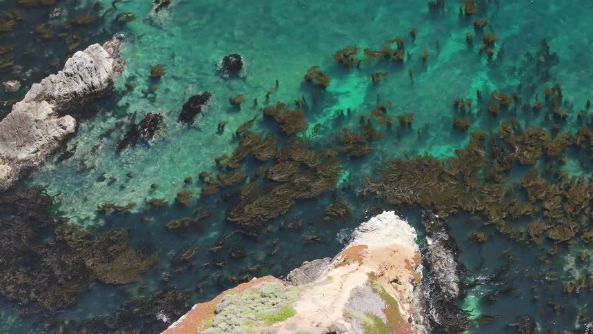 Seaweed surrounds the shore line