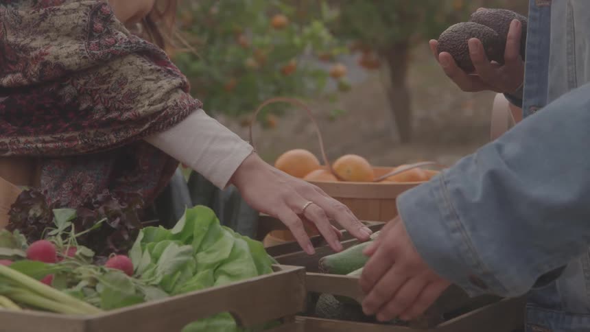 Hands interact with fresh produce such as radishes cucumbers and avocados at outdoor market stand with orange trees in background