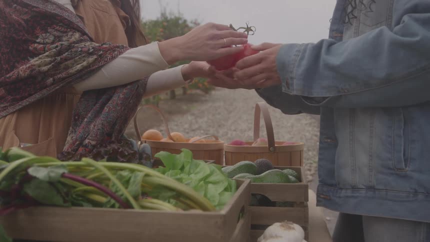 Person hands over red tomato at outdoor market with crates of fruits and vegetables on counter