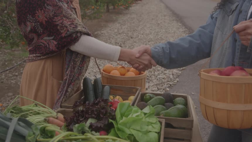 Two women shake hands over a stall laden with fresh produce and fruit baskets