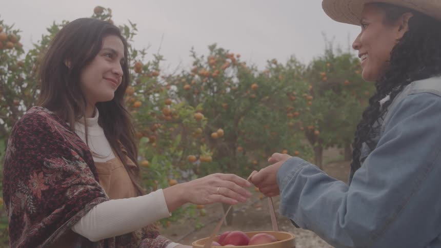 Two women exchange a basket of fruit and shake hands in a sunny orange orchard