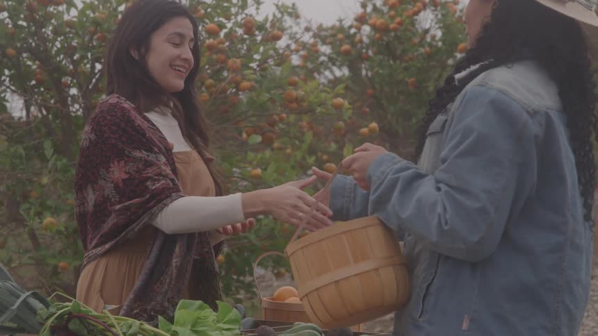 Two women interact in rural setting with basket of apples and fruit trees in background