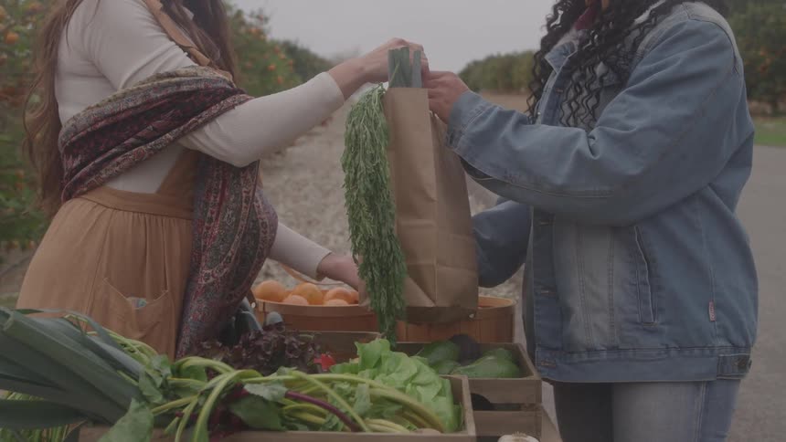 Two people exchange fresh vegetables at an outdoor market