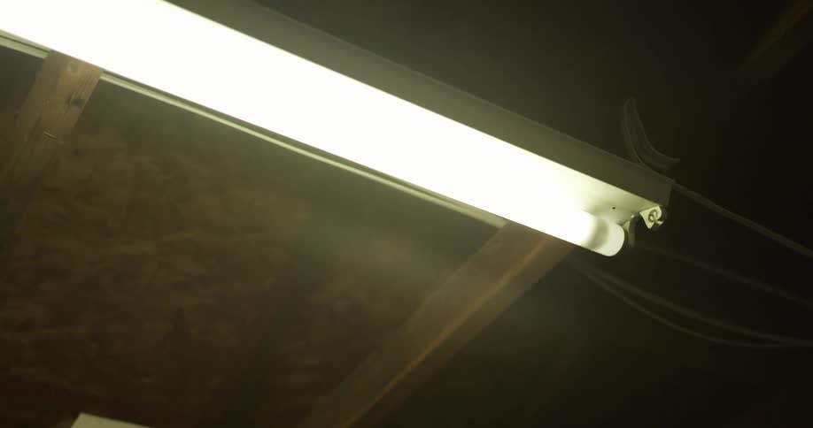 Overhead fluorescent light turns on