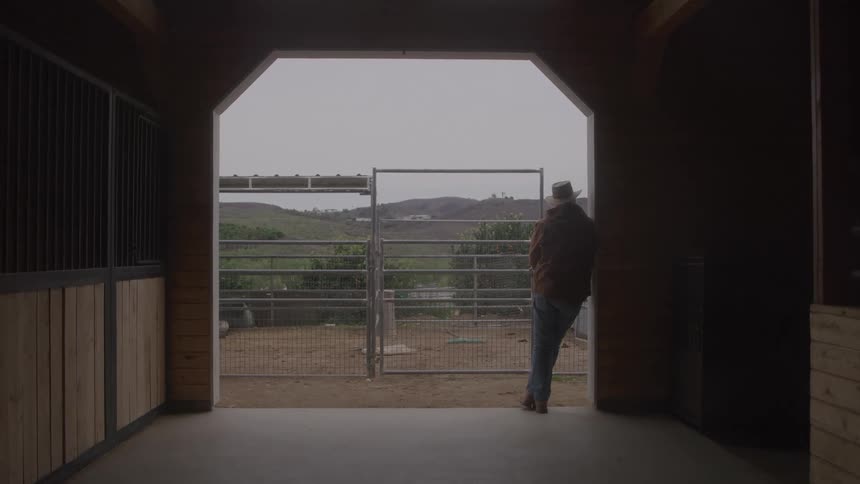 Man leaning against a fence watching the landscape outside a barn