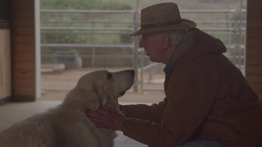 The man pets his dog in the stable