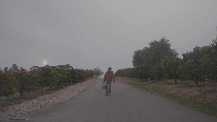 Man walking down a road between orchards carrying a harvest basket