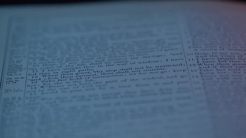 A close up of a page of text