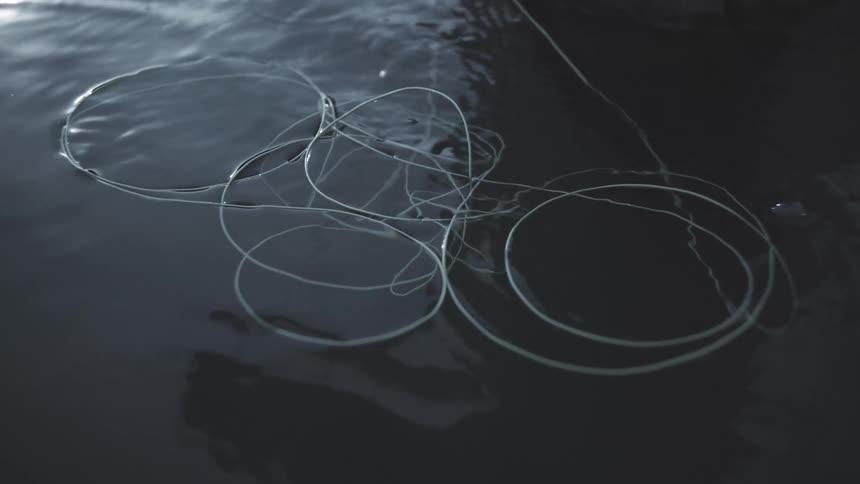 The fishing line floats in the water