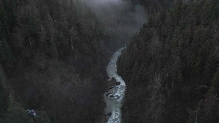 Aerial of a flowing river in the middle of a thick forest area during daytime