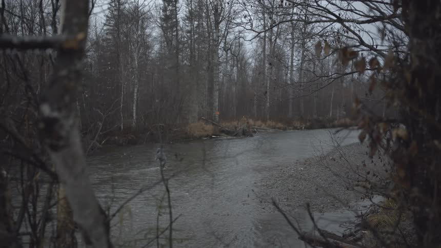 Person fishes in a shallow river surrounded by leafless trees on a cloudy day