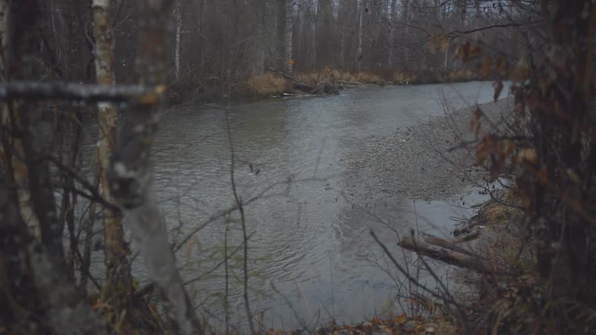 Fisherman crossing a shallow river surrounded by trees in cold weather