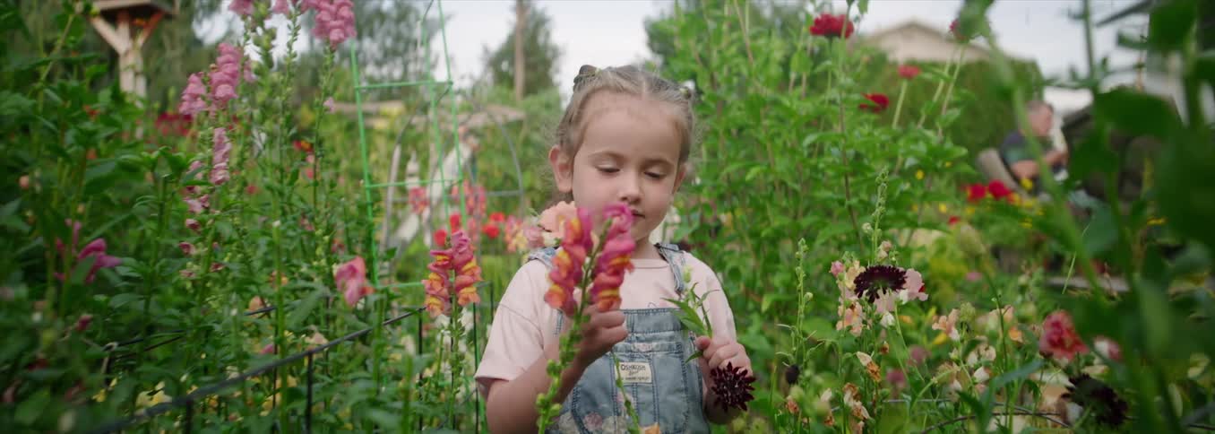 Child walking among flowers in a colorful garden