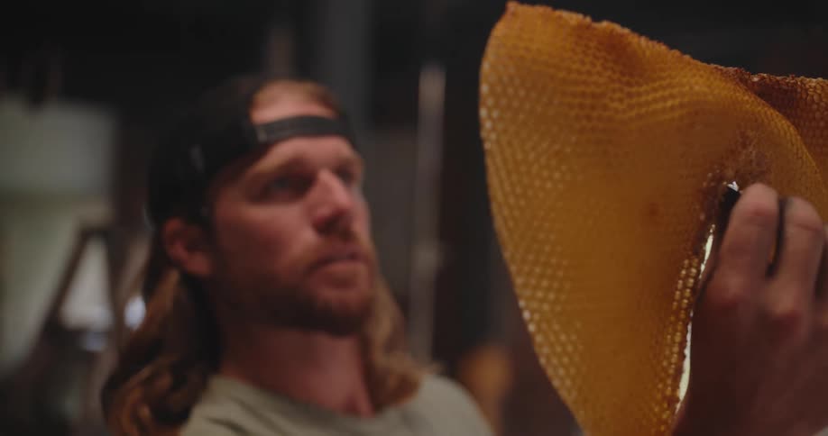 Man closely examines a large golden honeycomb in his hands