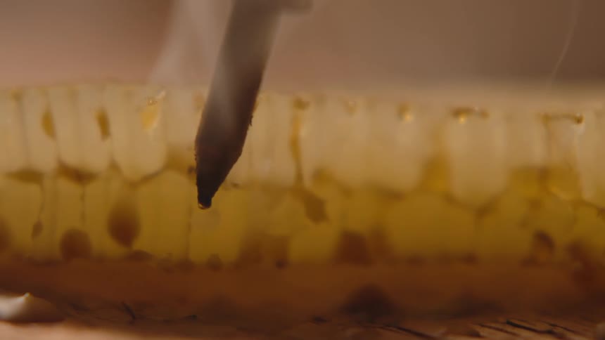 A dark soldering iron tip pierces through the golden yellow comb of a honeycomb causing a tiny plume of steam to rise as it melts the wax and releases a drop of honey