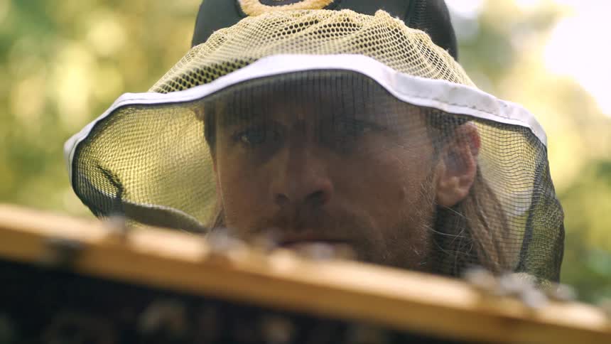 A bee keeper watches his bees