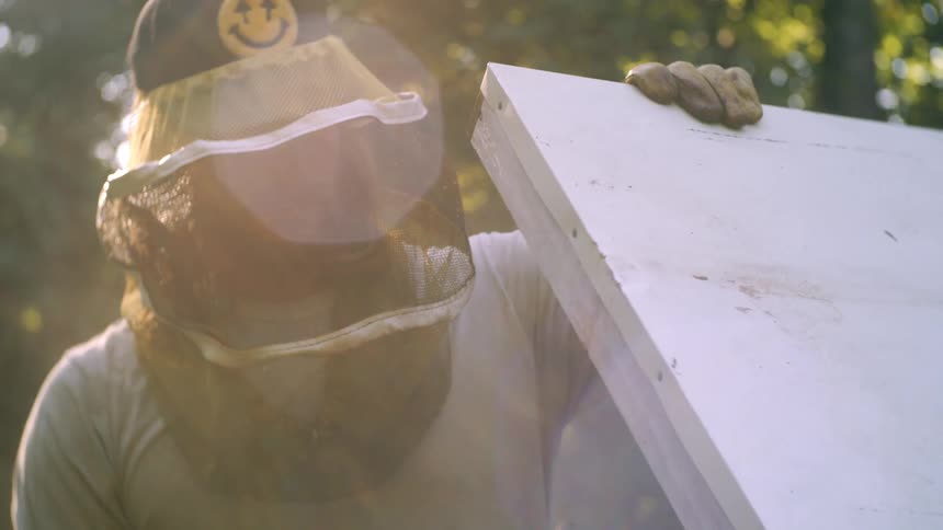 Beekeeper in protective clothing handles a beehive outdoors under sunlight