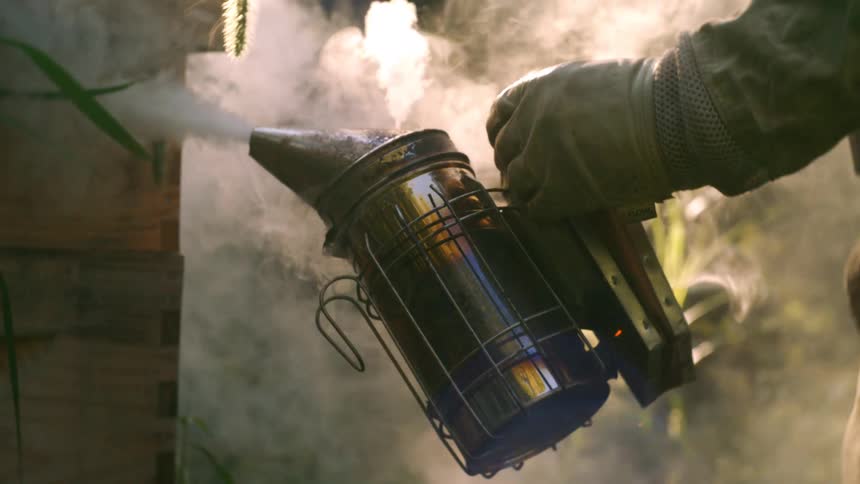 A close view shows the gloved hand of a beekeeper operating a black and silver metal smoker that emits thick white smoke near a beehive in a sunny outdoor environment
