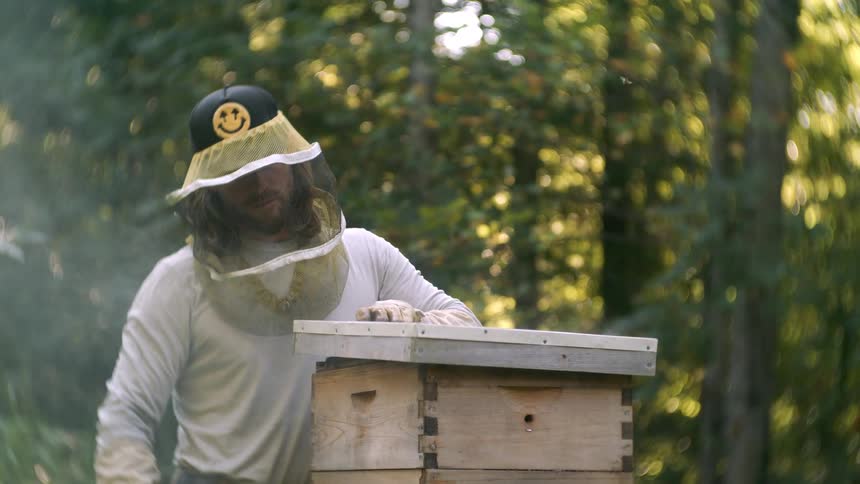 Beekeeper handling a beehive in a wooded area