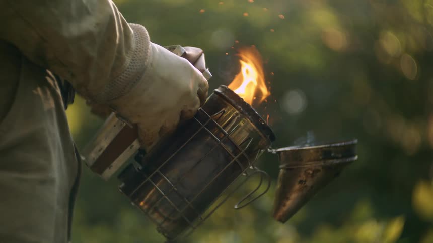 The beekeeper starts up the bee smoker