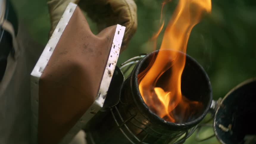 A person is enlarging the flames by using a blower and wears gloves
