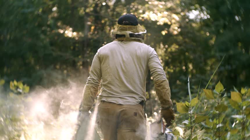 Beekeeper walking in a natural area
